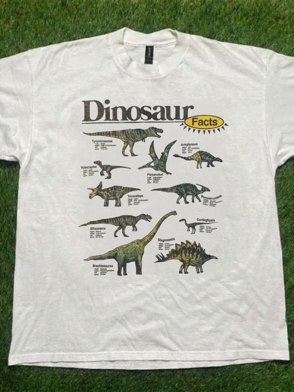 Gildan White Short-Sleeve 'Dinosaur Facts' Graphic Tee